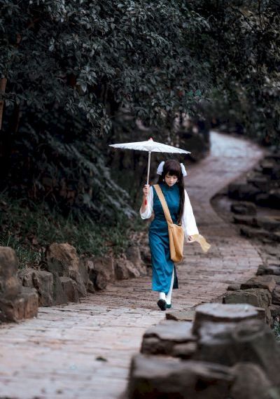 风雨丽人 电视剧_1080完整在线观看
